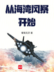 从海湾风暴开始 从海湾风暴开始