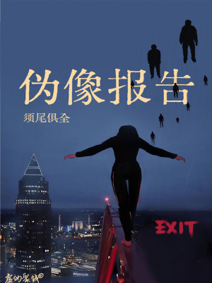 伪像报告 伪像报告