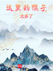 这里的猴子太多了! 这里的猴子太多了!