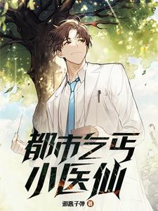 都市乞丐小医仙 都市乞丐小医仙