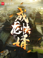 成龙快婿 成龙快婿